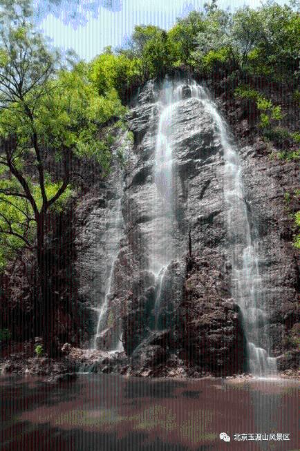 春雨直播app